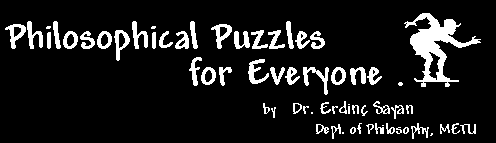 Philosophical Puzzles for Everyone...