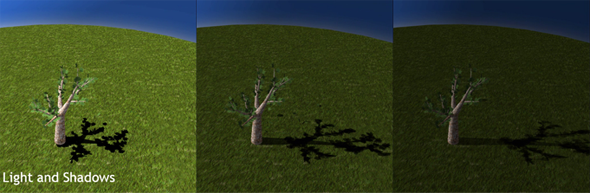 Implementation on Real-time Animation of Trees Swaying in Wind Fields