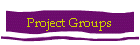 Project Groups